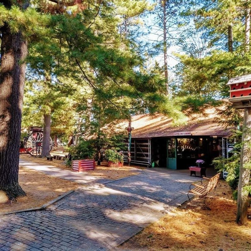 The-Museum-cover-photo